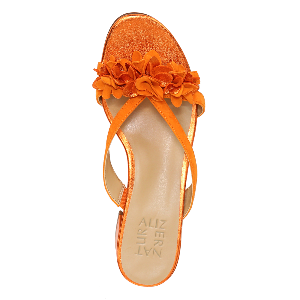 Jupiter Slide - Sunburst