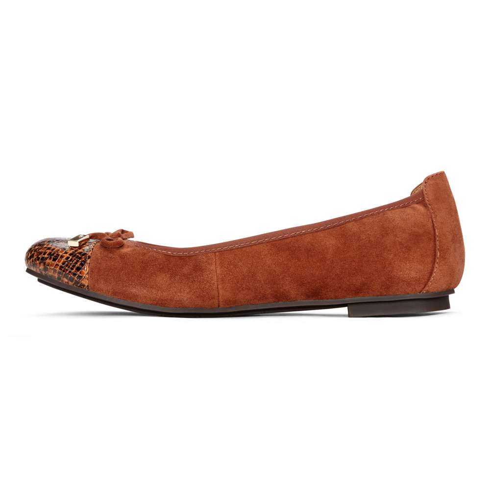 Minna Ballet Flat - Saddle Snake