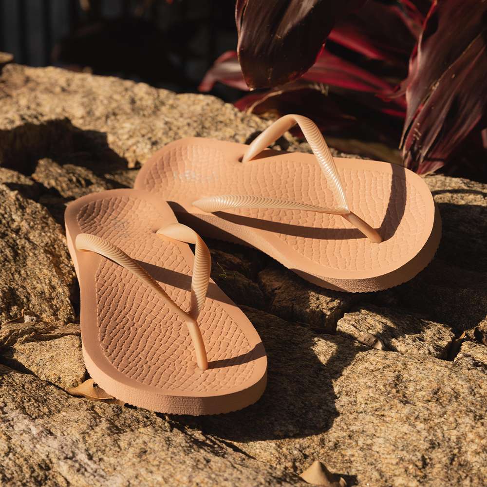 Slides